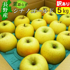 YVimS[h 󂠂 MB z{  5kg @Yn 