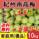 【送料無料】紀州和歌山　南高梅　大玉　10kg　3Lサイズ　優品（家庭用）【完熟梅】 ランキングお取り寄せ