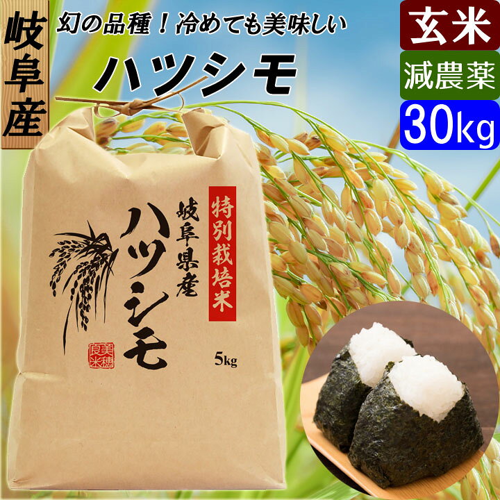 楽天市場】【令和5年産】岐阜県産 減農薬 ハツシモ 玄米 30キロ  