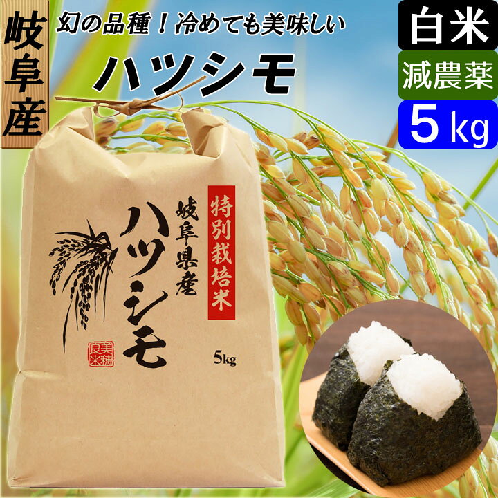 楽天市場】【令和5年産】岐阜県産 減農薬 ハツシモ 白米5キロ 大粒 