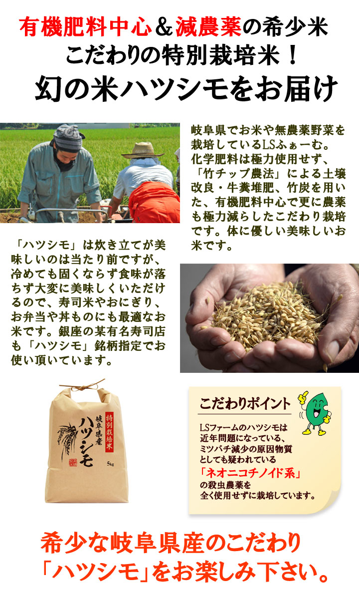 【楽天市場】【令和4年産】岐阜県産 減農薬 ハツシモ 玄米 10キロ