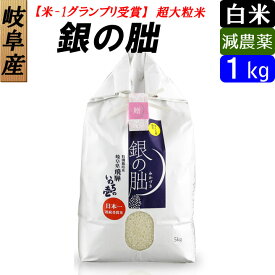 【白米】 岐阜産 銀の朏（ぎんのみかづき） いのちの壱 お米1kg 大粒 日本一のお米に選ばれました！送料無料