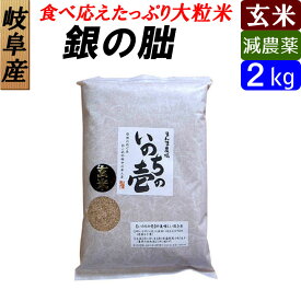 【玄米】 岐阜産 銀の朏（ぎんのみかづき） いのちの壱 お米2kg 大粒 送料無料