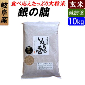 【玄米】 銀の朏（ぎんのみかづき） いのちの壱 お米10kg 大粒 日本一のお米に選ばれました！送料無料
