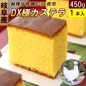 烏骨鶏 DXかすていら 1本入り 【黄金カステラ】 しっとりフワフワ! ギフト 送料無料