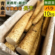 青森産 長芋 10kg バラ 無農薬 有機栽培 産地直送 お取り寄せ とろろ芋