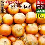 小田原産 下中玉ねぎ 訳あり 10kg 小玉 送料無料 特別栽培 減農薬 甘い 家庭用 産地直送 お取り寄せ