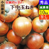 【送料無料】小田原産 下中玉ねぎ 正品 10kg 特別栽培 減農薬 たまねぎ 産地直送 お取り寄せ