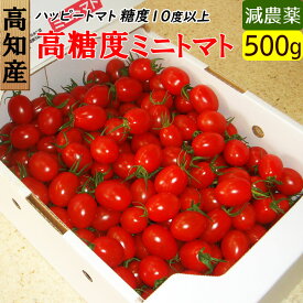 高知県 完熟 ハッピートマト 高糖度ミニトマト 500g 甘くておいしい！送料無料