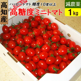 高知県 完熟 ハッピートマト 高糖度 ミニトマト 1kg 送料無料 産地直送 お取り寄せギフト