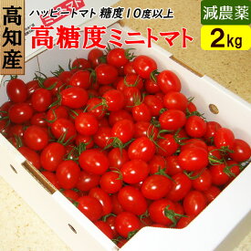 高知県 完熟 ハッピートマト 高糖度 ミニトマト 2kg 送料無料 産地直送 お取り寄せギフト