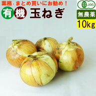 【送料無料】有機 新玉ねぎ 10キロ 不揃い オーガニック 玉葱 まとめ買い