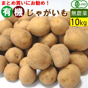 【送料無料】【無農薬】有機じゃがいも 一箱(10キロ) 不揃い オーガニック まとめ買い 馬鈴薯
