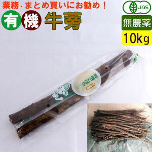 yzL@ڂ 10kg ꔠ@܂Ƃߔ@_̃I[KjbN