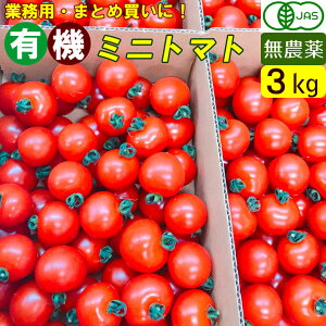 yzy_zL@~jg}g@ꔠi3Lj o I[KjbN ܂Ƃߔ