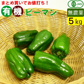 【送料無料】有機ピーマン 5kg 一箱　まとめ買い　無農薬のオーガニック　ピーマン（九州産）