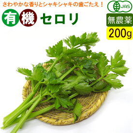 有機 セロリ 200g 無農薬 オーガニック 国産