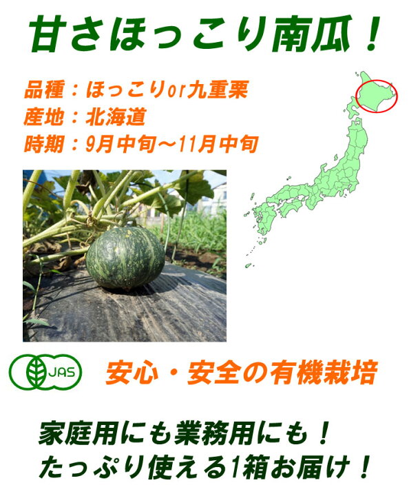 1800円 激安挑戦中 カボチャ 詰め合わせ 10kgX2箱 お徳用 1800円 激安挑戦中 カボチャ 詰め合わせ 10kgX2箱 お徳用