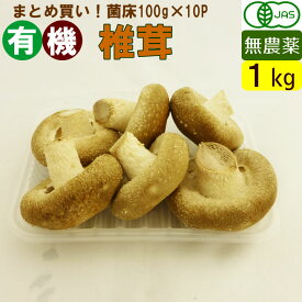 岐阜県産 有機椎茸 1kg 菌床しいたけ（100g×10パック）