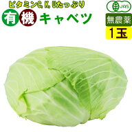 有機 キャベツ 1玉 無農薬 有機野菜 オーガニック 国産