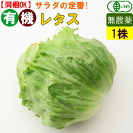 有機 レタス 1玉 無農薬 有機野菜 オーガニック 国産