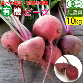 鹿児島県産 有機ビーツ たっぷり 10kg　バラ 無農薬 オーガニック お取り寄せ 加工用 業務用