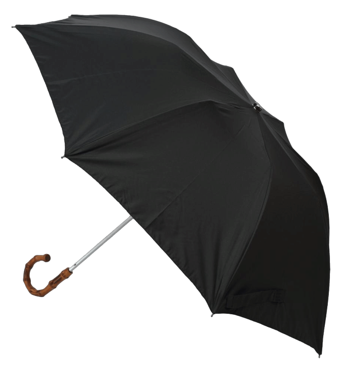 FOX UMBRELLA TEL12 Whangee 折りたたみ傘 晴雨兼用傘 TL12pistachio_2_1600x.jpg?v=