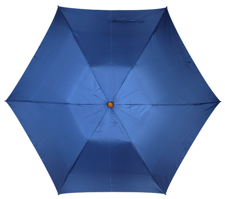 楽天市場】本日クーポンあり☆月間優良ショップ 楽天1位 傘 レディース