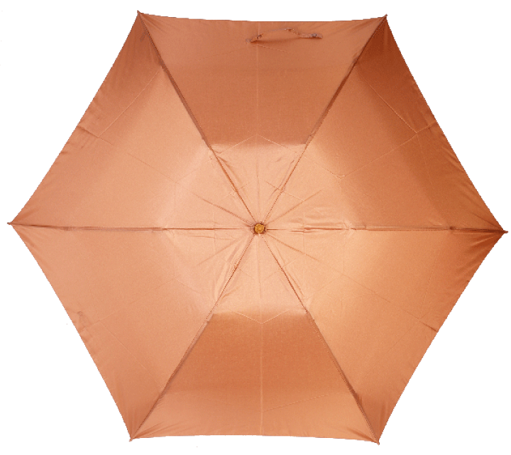 楽天市場】本日クーポンあり☆月間優良ショップ 楽天1位 傘 レディース