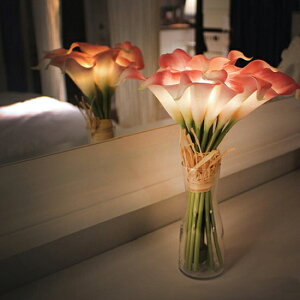 {N[|聚yԗDǃVbvza v[g T1 VIA K studio t[ LED u[P ԑ   uC_ CeA Cg VIA-K z Mtg ԉ j 蕨 