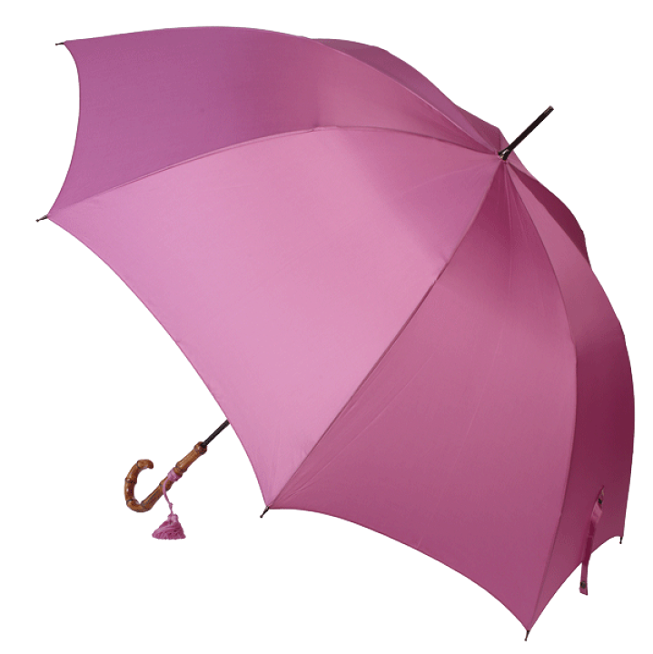 楽天市場】【月間優良ショップ】楽天1位 超軽量 傘 レディース 雨傘