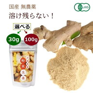 ＼ポイント20倍／ 沖縄県産 サッと溶ける粉末生姜 30g・100gから選択 [ 無農薬 有機JAS認定 オーガニック…