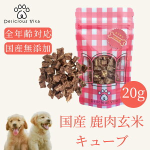 fVXB[^    5܃Zbg p ^pN ᎉb wV[ pXibN i`hbOt[h Y pJ pg[c Nu hb