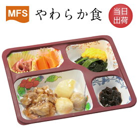 【介護食】冷凍 MFS やわらか食(お試しセット) 6食入り当日発送 冷凍弁当 冷凍食品 やわらかい食事 ミキサー食 刻み食 ペースト食 惣菜 送料無料 メディカルフードサービス 健康うちごはん