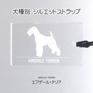 GAf[EeA ʃVGbgXgbv t