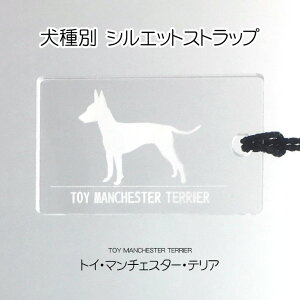 gCE}`FX^[EeA ʃVGbgXgbv t