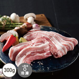 TMvT(300g)[Oio][؍ē]ył肩ǂz)