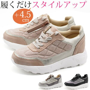 y3000~|bLz Xj[J[ fB[X C Vo[ ubN   LL ʋ o R[f NbV  X^CAbv 4.5cm Cq[ V[Nbg\[ V[Nbg