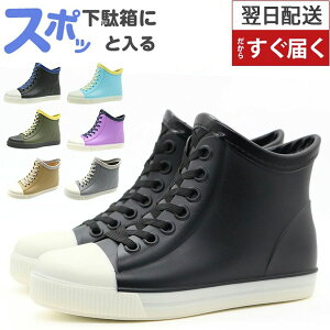 Cu[c LbY WjA q Sh C JC ̎q j̎q K[Y {[CY C Vv J̓ ʊw ʉ ʔ ł   ubN bh u[ V[g Xj[J[ 