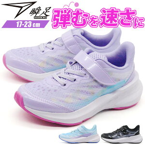 u Xj[J[ LbY WjA q C ̎q  ubN  p[v TbNX h Ȃ nuT g| ₷ ₷ Ȃ y y ʊw 㗚 ^ ̈ 