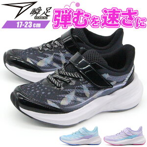 u Xj[J[ LbY WjA q C ̎q  ubN  p[v TbNX h Ȃ nuT g| ₷ ₷ Ȃ y y ʊw 㗚 ^ ̈ 