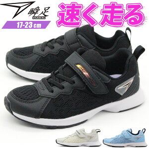 u Xj[J[ LbY WjA q C ̎q   ubN AC{[ TbNX h Ȃ ₷ ₷ Ȃ y y ʊw 㗚 ^ ̈  킢 