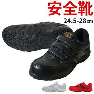 SC Y C Z[teB[V[Y Xj[J[  ubN  zCg  bh |c ₷ Obv xg 3E EEE  L JIS S푊 Vv TCY 傫