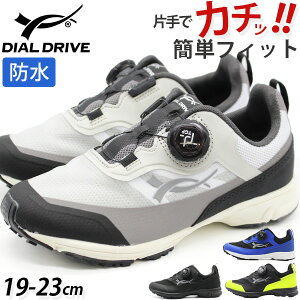 Xb| LbY q WjA j̎q ̎q C h J J̓ Xj[J[  ubN zCg  F CG[₷ _C _C qC ^ ʊw ^C O S 