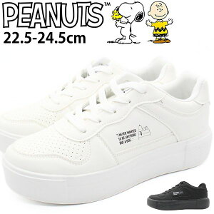 Xj[J[ fB[X C Vv y y  NbV K  zCg  ubN Xk[s[ EbhXgbN ʊw ʋ d NbV LN^[ PEANUTS s[ibc PN8299