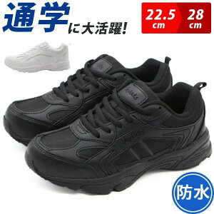Xj[J[ [Jbg fB[X Y  zCg jp jZbNX h C 傫TCY L CY 3E y y wZ wC  X|[c J̓ Vv ^ WFCL
