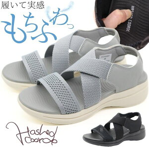 T_ fB[X C RtH[gT_ Xgbv  ubN O[ y y y ₷  Vv NbV e o  bV ʋC R[f HASHED COO