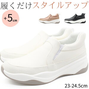 y25聚Pő8{z Xj[J[ Xb| fB[X C  ubN  zCg sNS[h LL  NbV  X^CAbv 5cm Xbg ₷ nbVhR