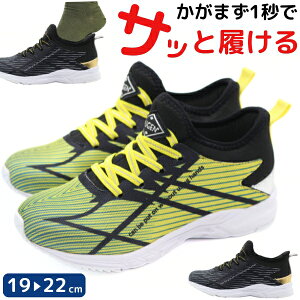 Xj[J[ LbY WjA q C Xb|  ubN CG[ y y Vv wZ ʊw ʊwp ^ X|[c O ₷ nYt[ ^C g킸 wZ