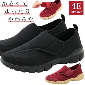 V[Y fB[X C Xj[J[ Xb| RtH[gV[Y y y  ubN bh C L 4E  @V[Y }WbNe[v xN  @ _炩